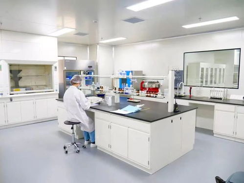 專(zhuān)業(yè)見(jiàn)證 品質(zhì)護(hù)航——走進(jìn)妙可藍(lán)多奶酪工廠，直擊品牌硬實(shí)力