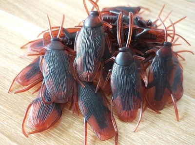 小強一頁 玩具工廠的銷售奇跡